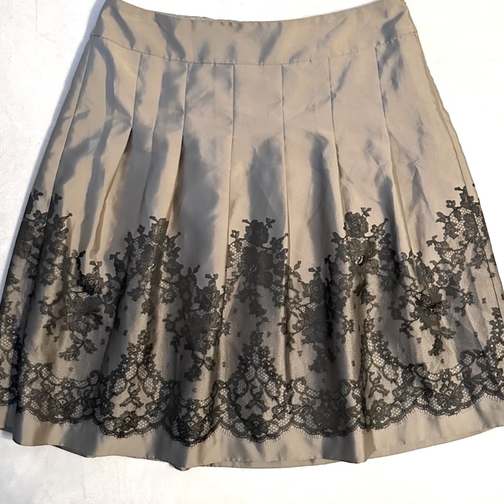 EUC Ann Taylor silver, and black satin pleated skirt size 10